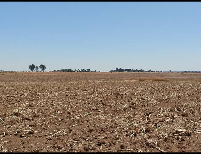 20.20HA VACANT LAND FOR SALE IN CHRISSIEFONTEIN